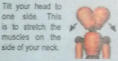 neck4