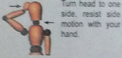 neck7