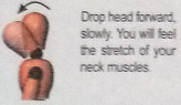 neck